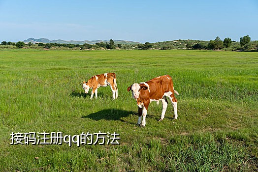 淘宝厅卡接码是什么意思