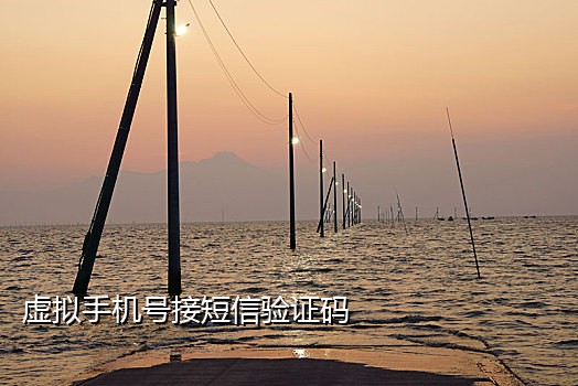 淘宝免费接码平台哪个好