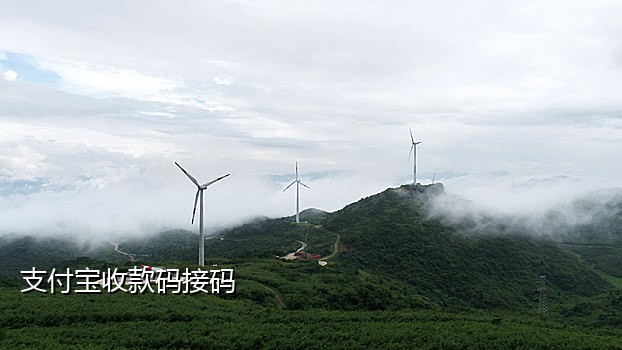 手机验证码接码器