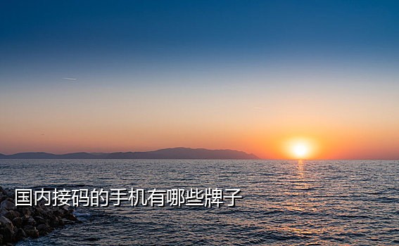 手机上怎么接码