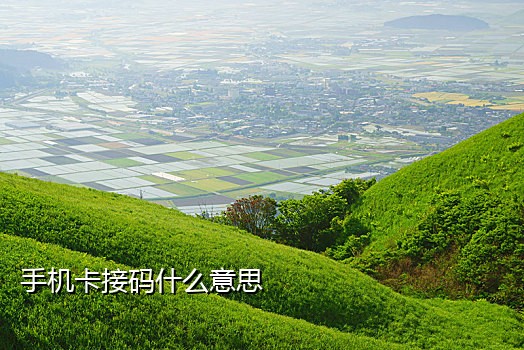 手机免费接码