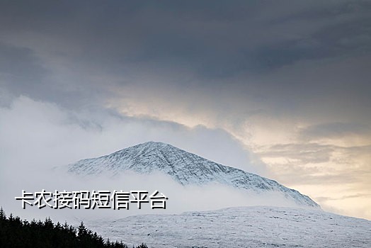 手机卡接码渠道