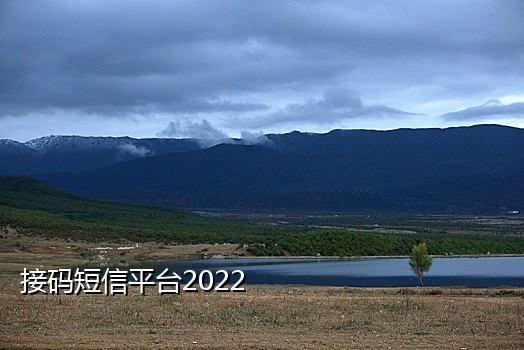 手机接验证码平台是什么原理呢