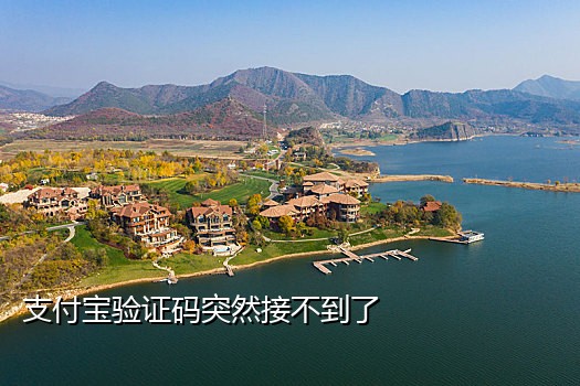 手机接码平台找回密码