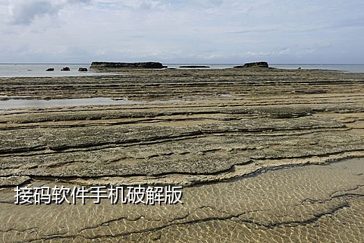 手机接码平台手机软件