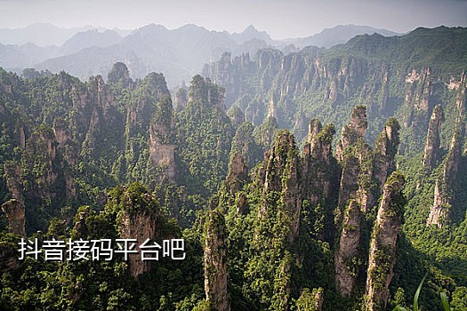 手机接码免费验证平台