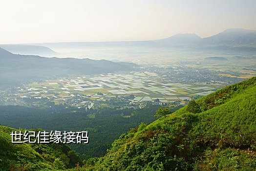 手机接不到快递取件码