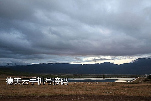 手机号代接码平台