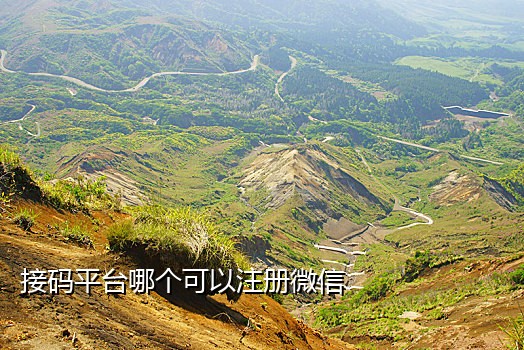 手机番茄接码平台