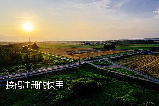 手机短信接验证码平台