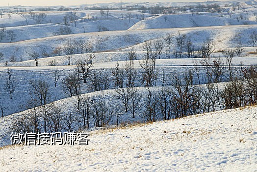 手机店接码拉新判刑案件
