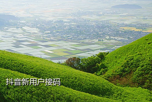 手机被接码