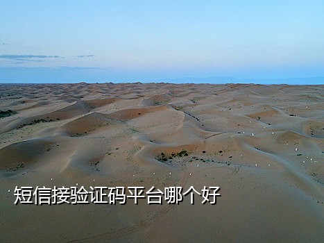 收发短信接码器