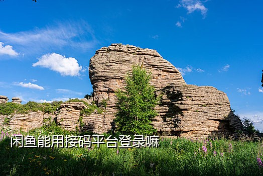 什么平台可以接淘宝码