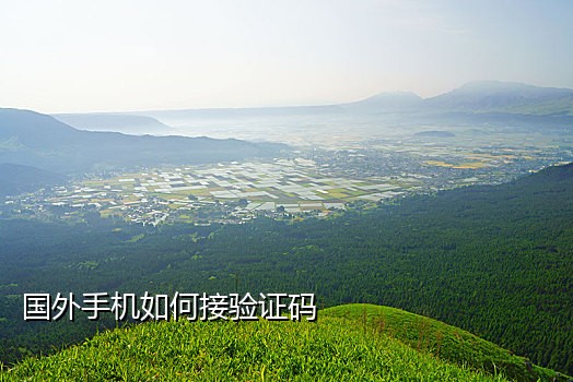 如何区分接码平台手机号码