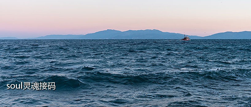 求一个可以抖音接码的