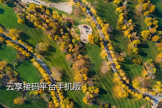 破解短信接码软件