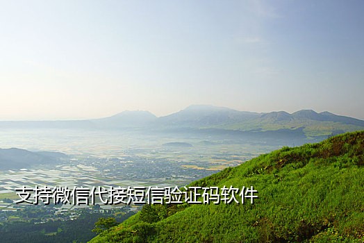 国外手机号免费接码