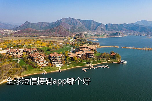哪些接码平台有淘宝