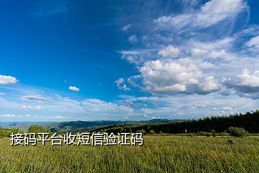 陌陌接码渠道在哪找