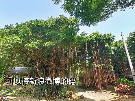 免费微信无限接码平台