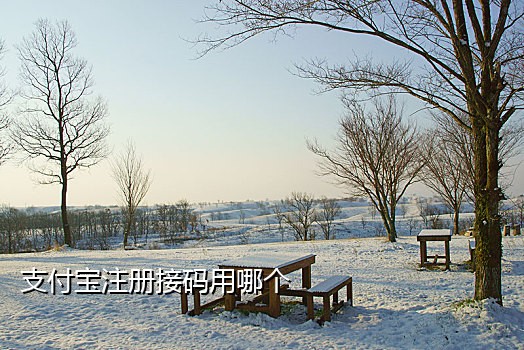 免费临时短信验证接码