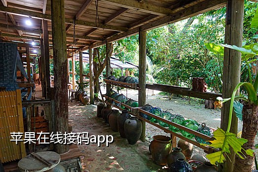 免费接码在线短信