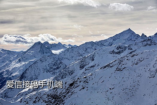 免费接码平台微信