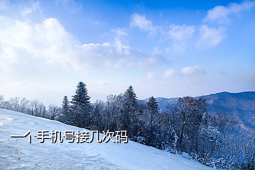 免费接码平台手机版