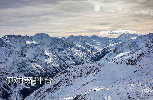 米粒接码手机可以用吗