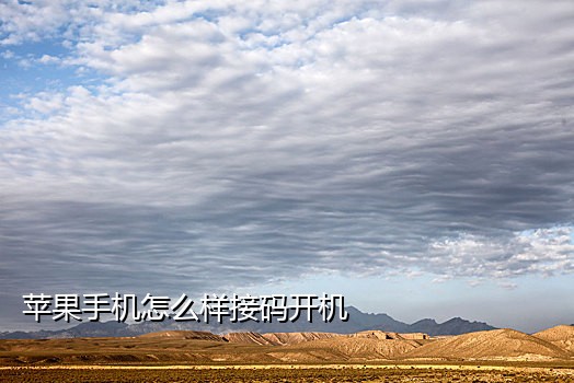 美团自助接码网站在哪