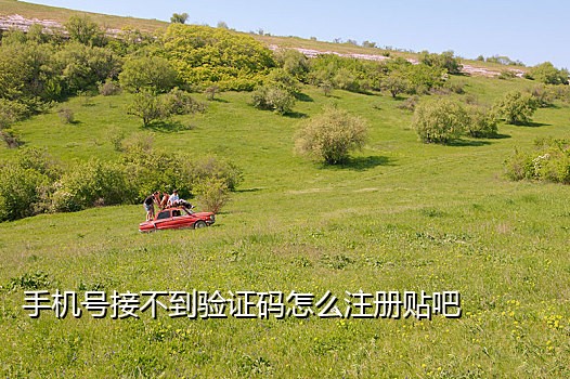美国虚拟电话接码软件下载
