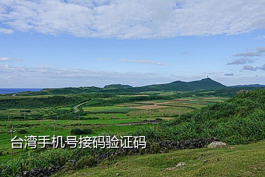 今天淘宝接码平台全部停了