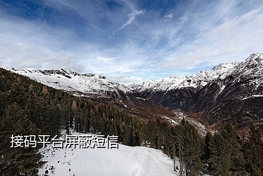 接微博验证码的手机号