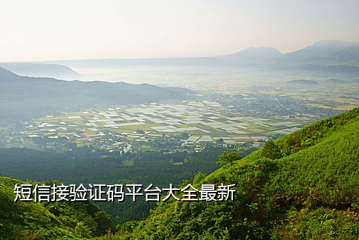 接收短信接码