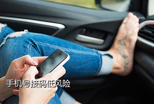 接码验证码平台怎么用手机登录