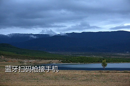 接码微信公众号