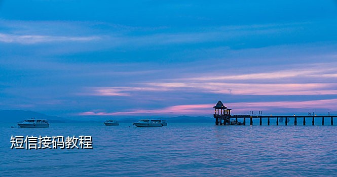 接码微信的平台