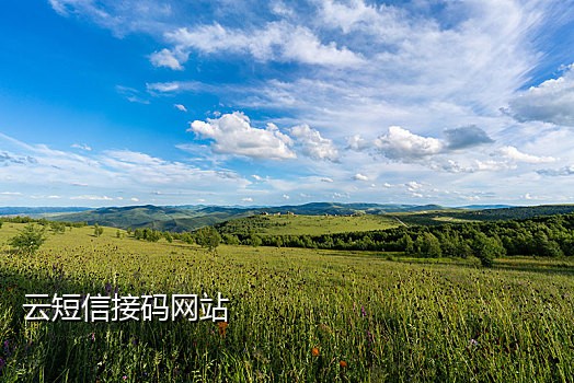 共享云手机接码