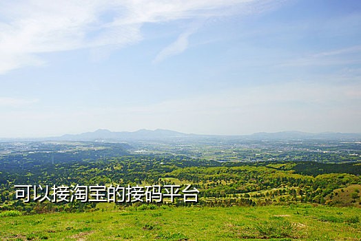 接码网页苹果版