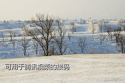 接码网手机版下载安装