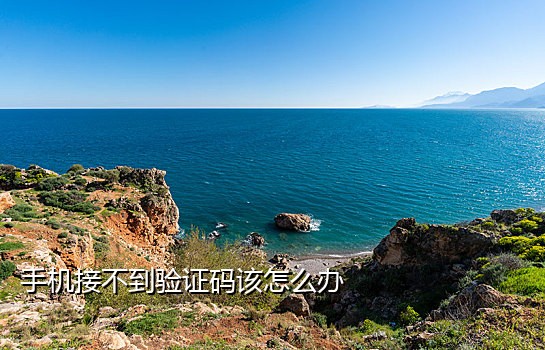 接码软件手机软件推荐