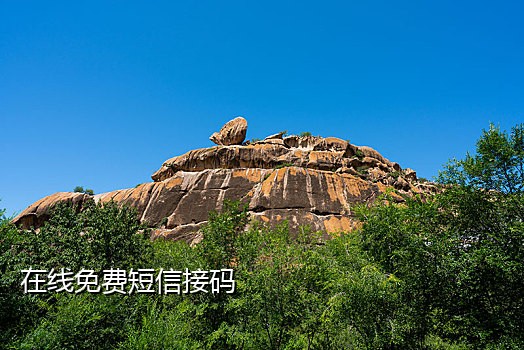 接码平台申请微信