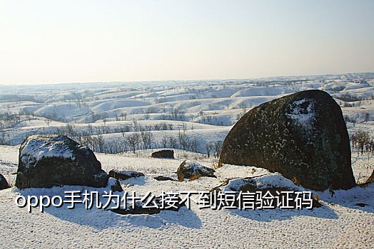 接码号在线接收短信