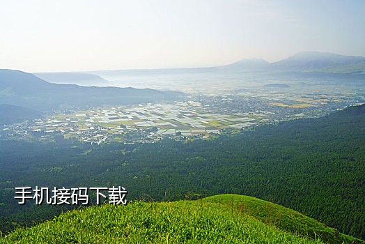 接码短信软件推荐大全免费