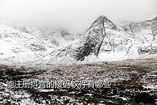 接码短信软件app免费