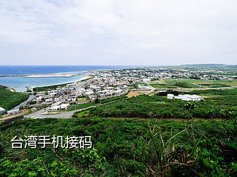 飞鱼快短信接码