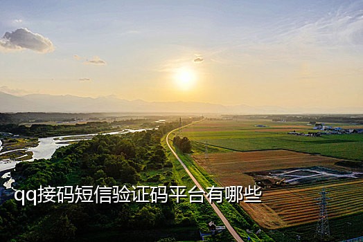 货拉拉手机验证接码平台