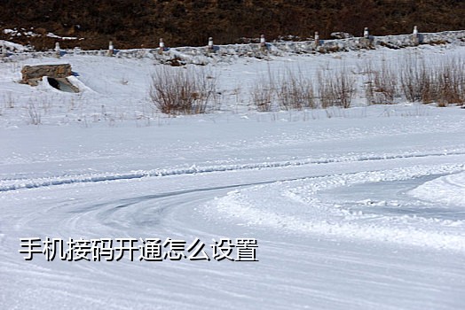 国外短信接码网站有哪些