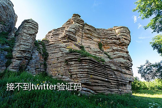 飞速手机接码平台